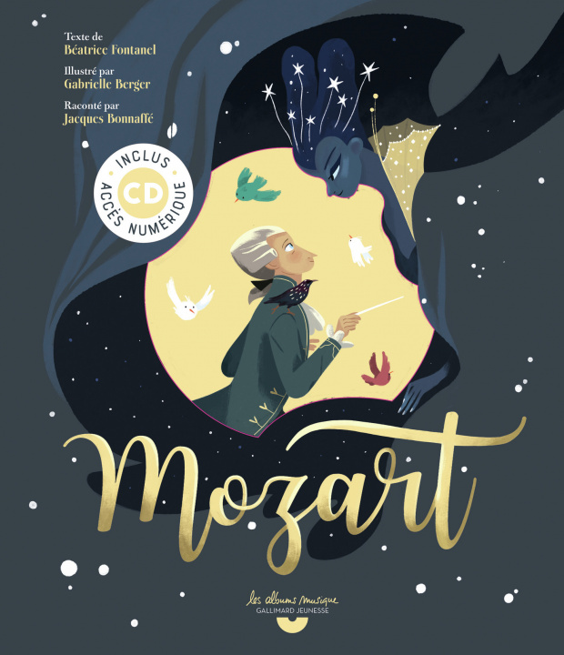Knjiga Mozart Fontanel