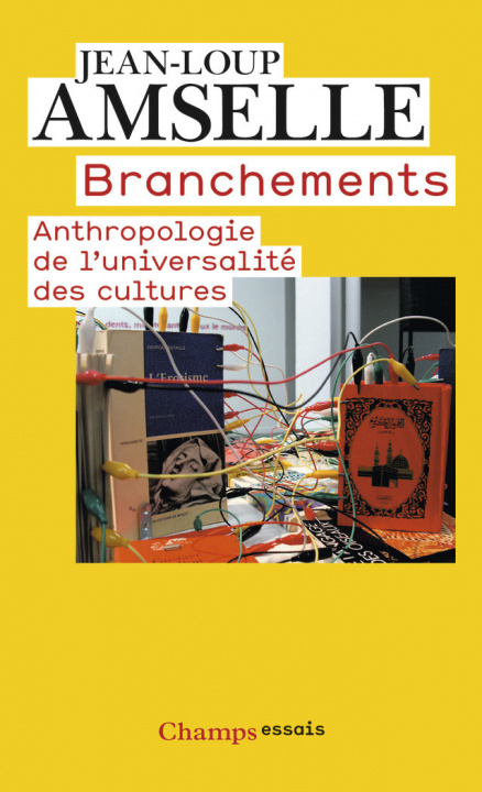 Knjiga Branchements Amselle