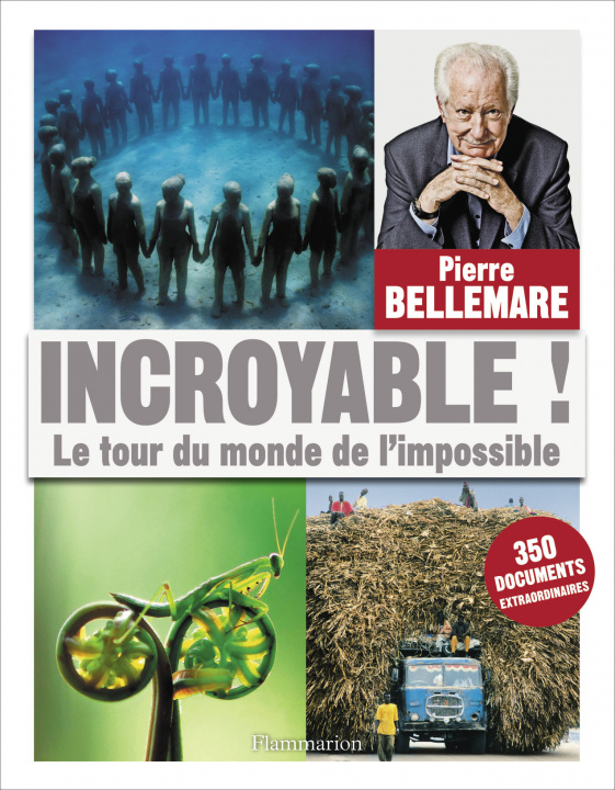 Book Incroyable ! Bellemare