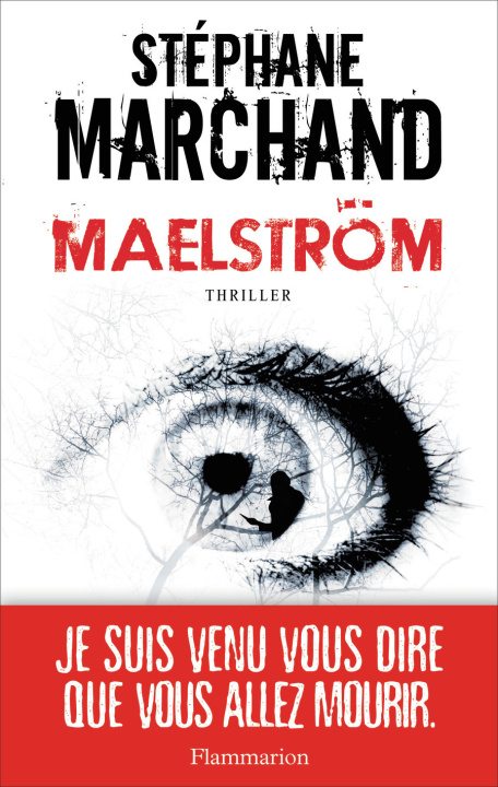 Knjiga Maelström Marchand