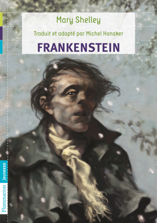 Knjiga Frankenstein Shelley