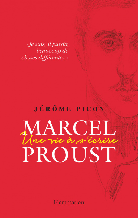 Book Marcel Proust Picon