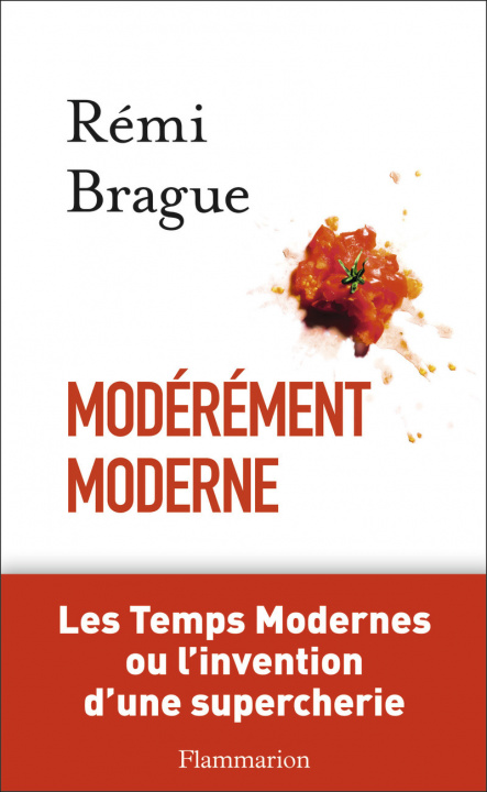 Book Moderement moderne Brague