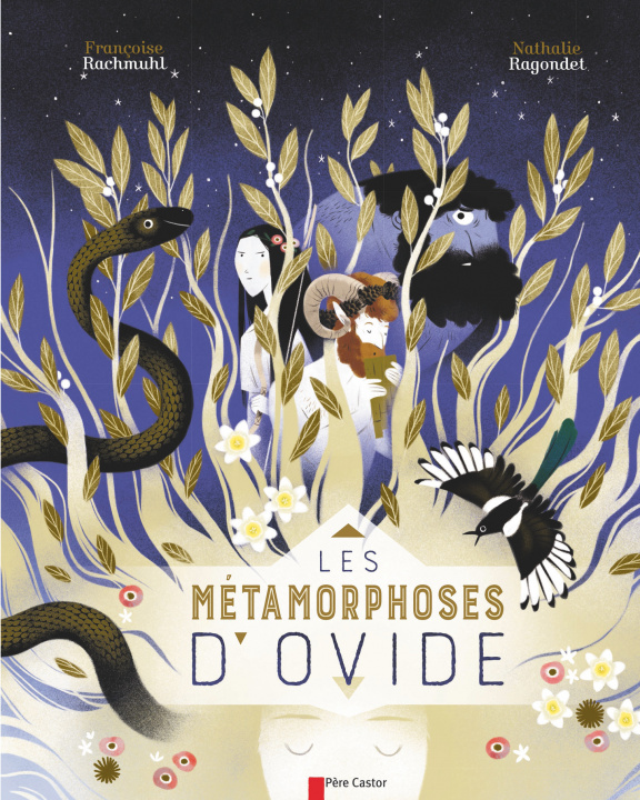Book Les Métamorphoses d'Ovide Rachmuhl