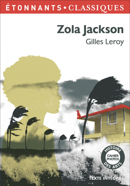 Knjiga Zola Jackson Leroy
