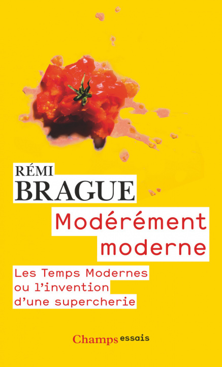 Book Modérément moderne Brague
