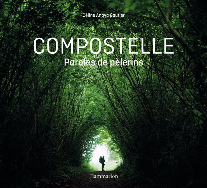 Knjiga En chemin vers Compostelle Anaya Gautier