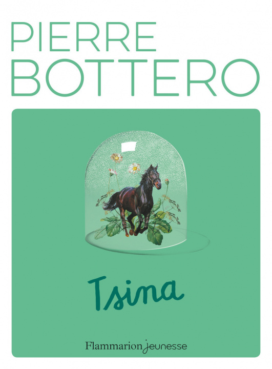 Boek Tsina Bottero
