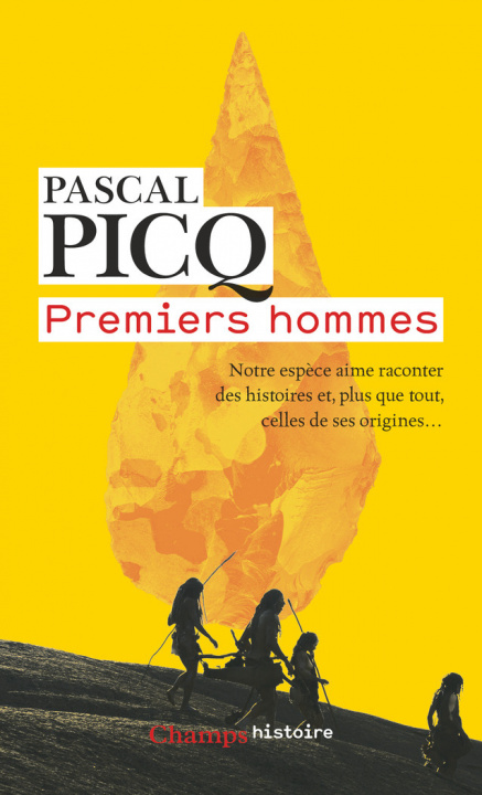 Buch Premiers hommes Picq