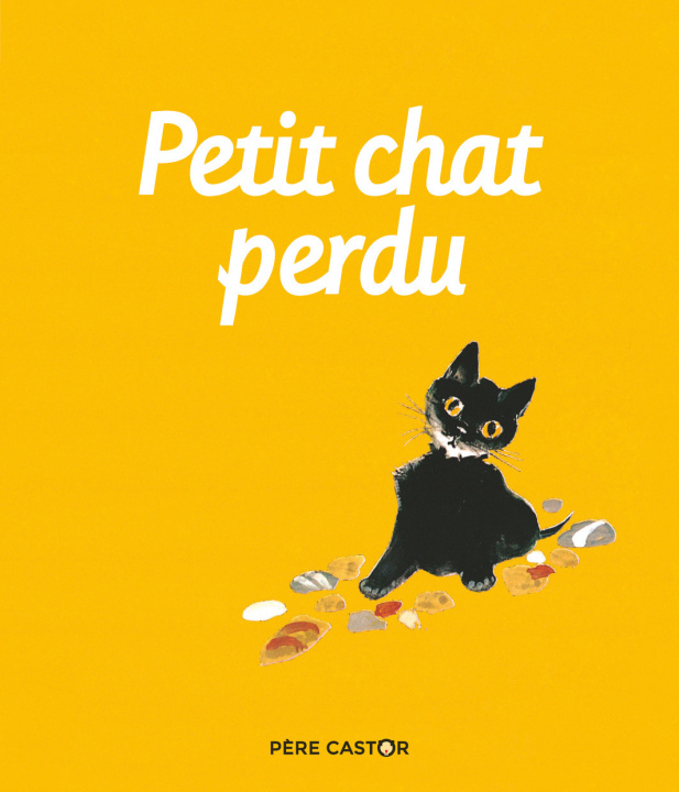 Buch Petit Chat perdu Natacha