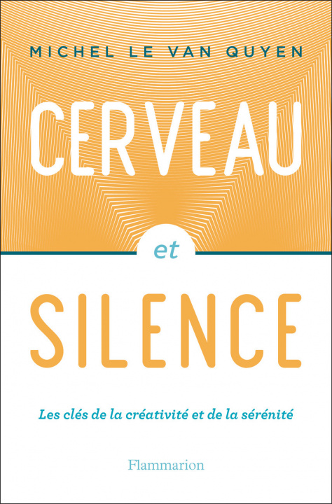 Buch Cerveau et silence Le Van Quyen