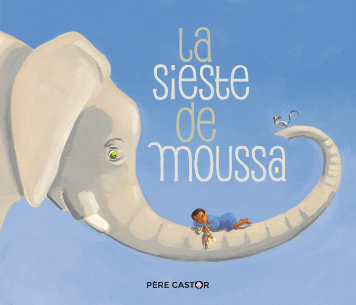 Boek La Sieste de Moussa Zemanel