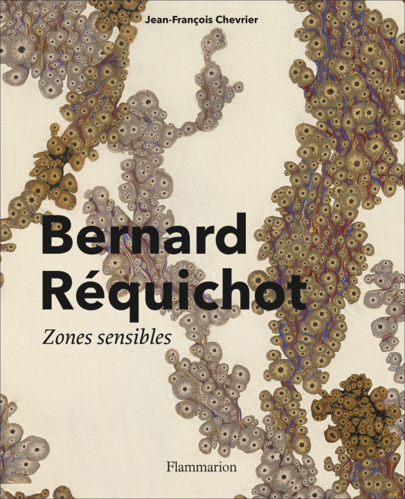 Knjiga Bernard Réquichot Chevrier