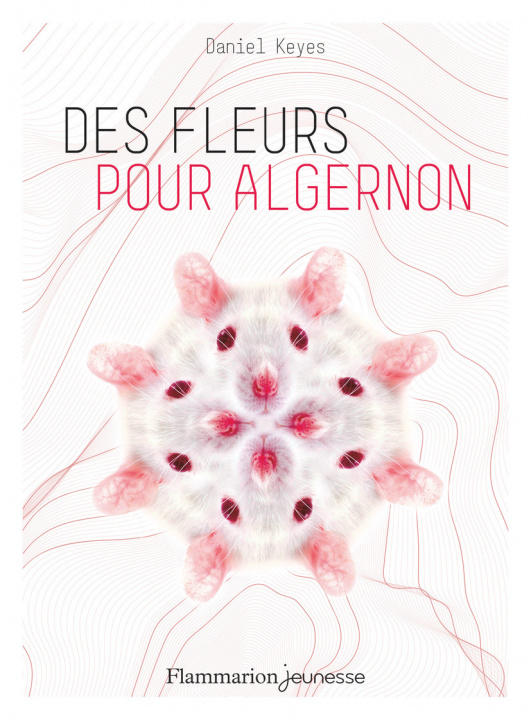 Kniha DES FLEURS POUR ALGERNON Keyes