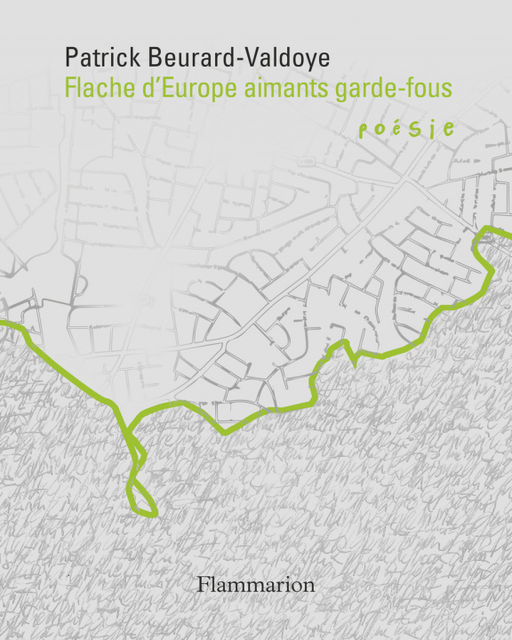 Knjiga Flache d'Europe aimants garde-fous Beurard-Valdoye