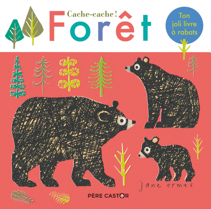 Knjiga Cache-Cache ! Foret Ormes