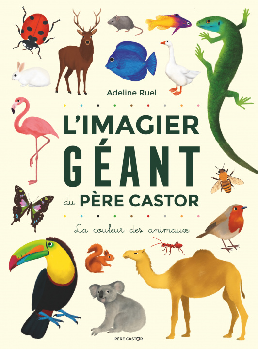 Book L'Imagier géant du Père Castor Ruel