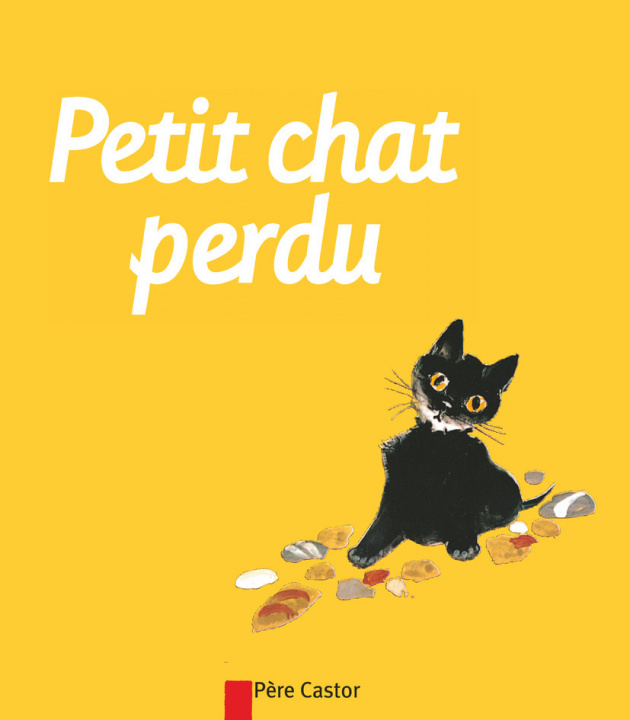 Buch Petit chat perdu Natacha
