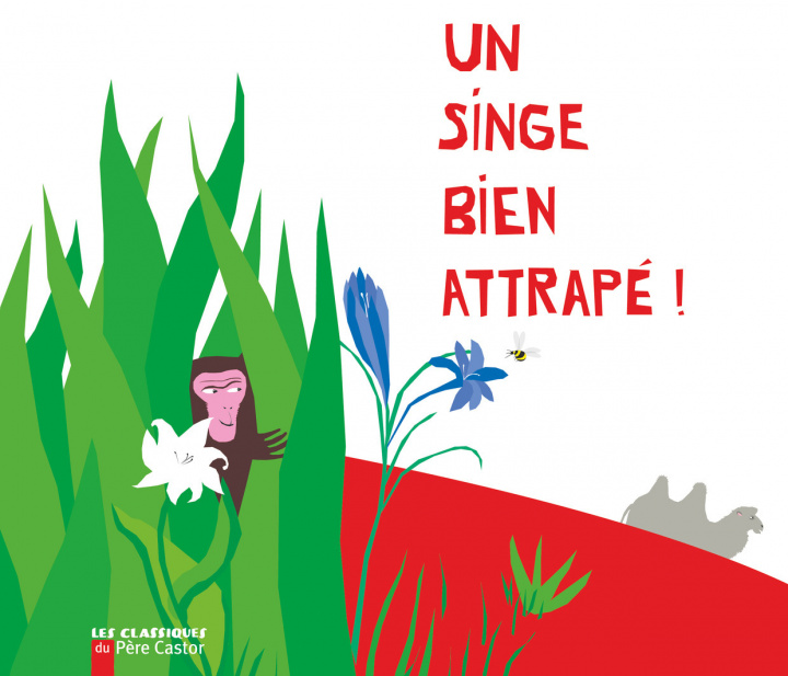 Buch Un singe bien attrapé Bone