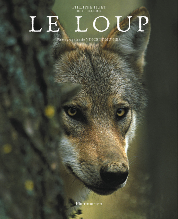 Knjiga Le Loup Huet