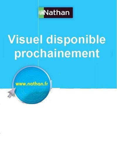 Knjiga Graphisme en petite section Yvette Jenger-Dufayet