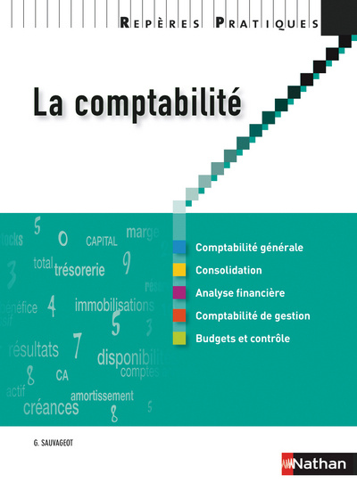 Könyv LA COMPTABILITE 2009 - REPERES PRATIQUES N13 Georges Sauvageot