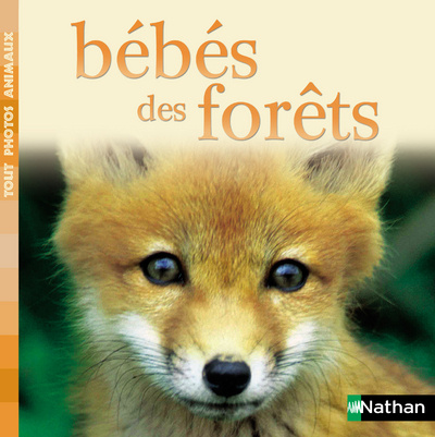 Knjiga BEBES DES FORETS Laurence de Kemmeter