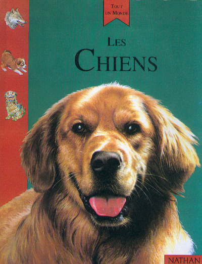 Book CHIENS Amanda O'Neill
