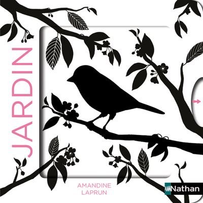 Knjiga Les belles couleurs - le jardin 
