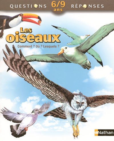 Knjiga OISEAUX Amanda O'Neill