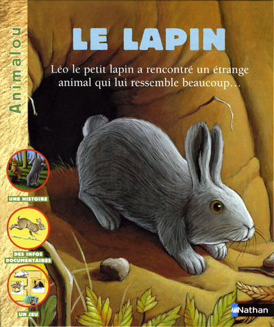 Knjiga LAPIN NE Safia Amor