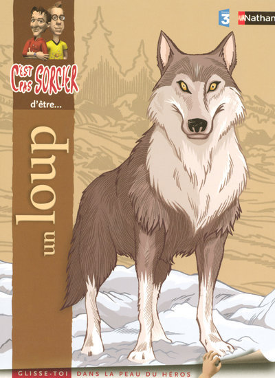 Buch UN LOUP Madeleine Deny