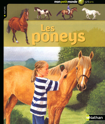 Könyv PONEYS Jackie Budd