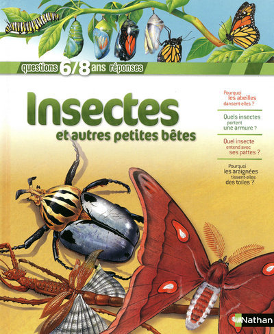 Knjiga INSECTES Amanda O'Neill
