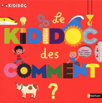 Kniha Le Kididoc des comment ? Sylvie Baussier