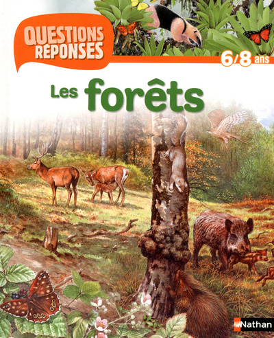 Knjiga N25 - LES FORETS - QUESTIONS/REPONSES 6/8 ANS Jackie Gaff