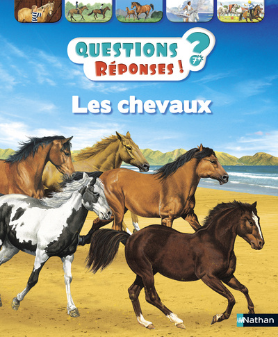 Libro Les chevaux Jackie Gaff