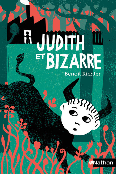 Knjiga Judith et Bizarre Richter Benoît