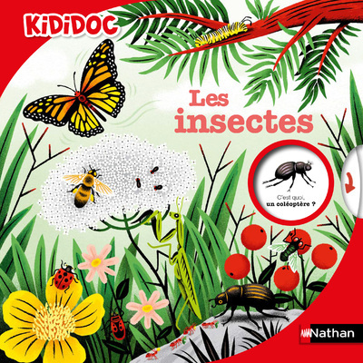 Knjiga Les Insectes Muriel Zürcher