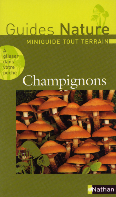 Kniha CHAMPIGNONS Jean Rovea