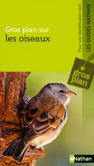 Knjiga OISEAUX 