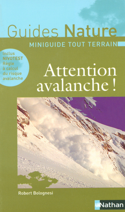 Buch ATTENTION AVALANCHES Robert Bolognesi