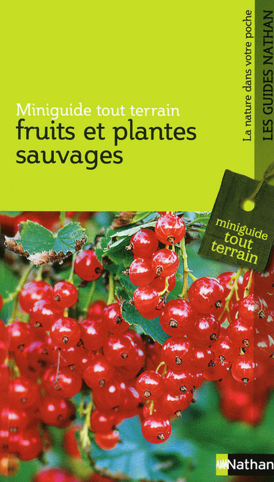 Libro FRUITS ET PLANTES SAUVAGES Ghislaine Tamisier