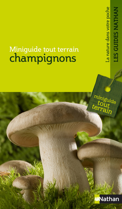 Knjiga CHAMPIGNONS 