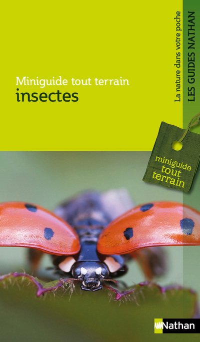 Knjiga INSECTES Roland Gerstmeier