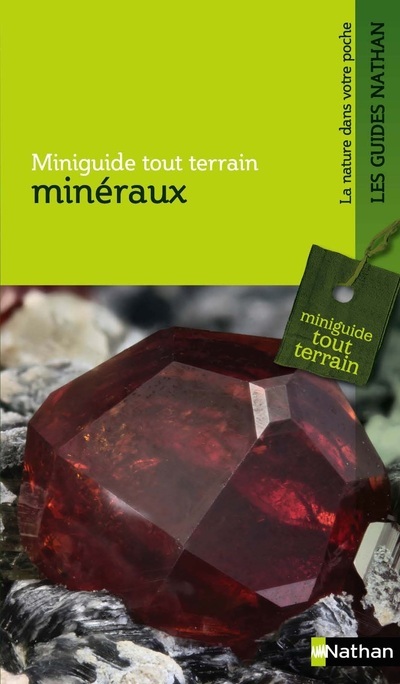 Buch Minéraux 