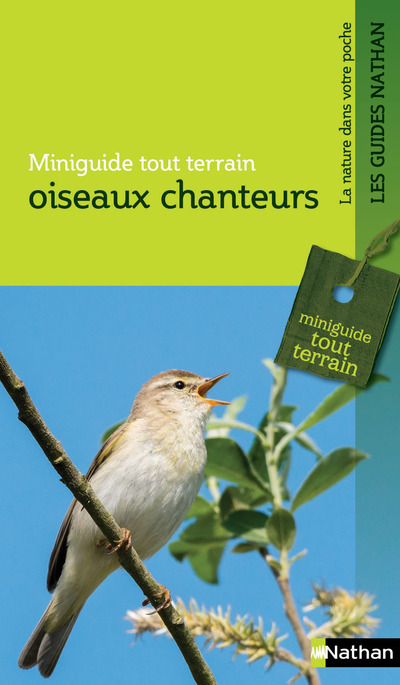 Kniha Miniguide tout terrain - oiseaux chanteurs Collectif