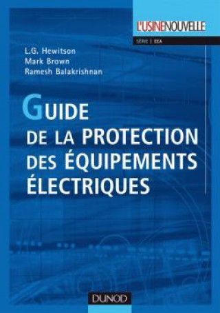 Kniha Guide de la protection des équipements électriques L.G. Hewitson