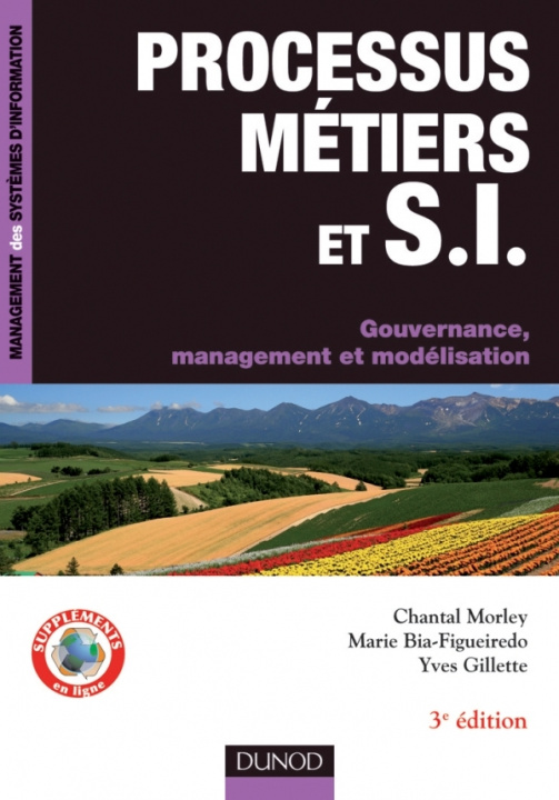 Carte Processus métiers et S.I. - Gouvernance, management, modélisation - 3e édition Marie Bia-Figueiredo