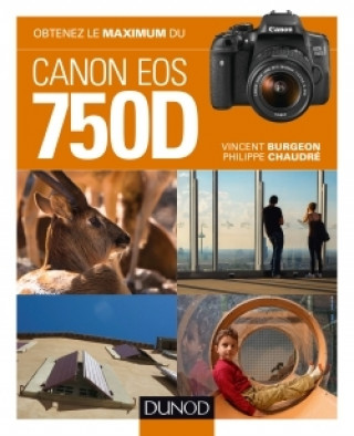 Kniha Obtenez le maximum du Canon EOS 750D Vincent Burgeon